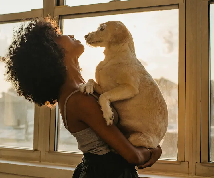 A woman, holding up a dog by a window.