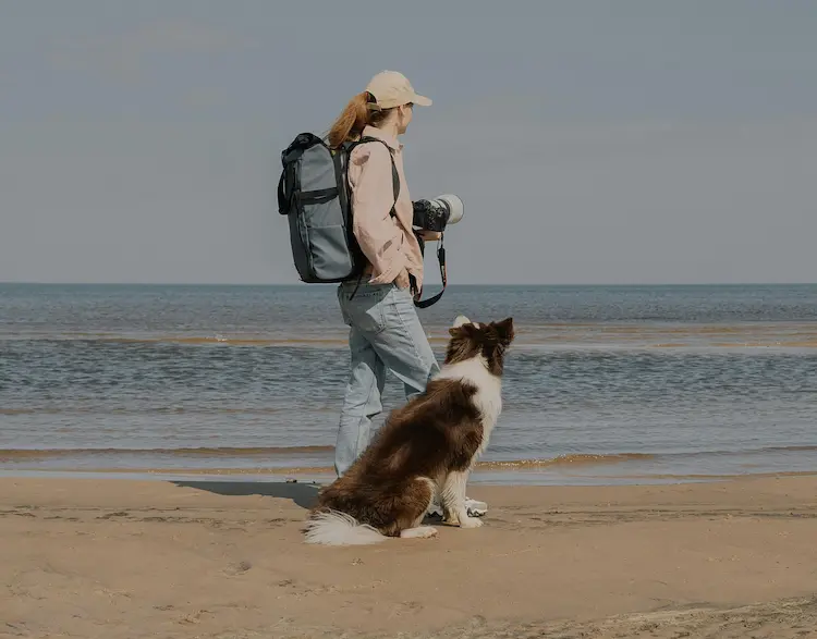 A woman and a border collie at the beach.