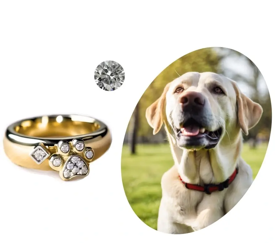 Pet Ashes to Diamonds Memorial Diamonds for Pets