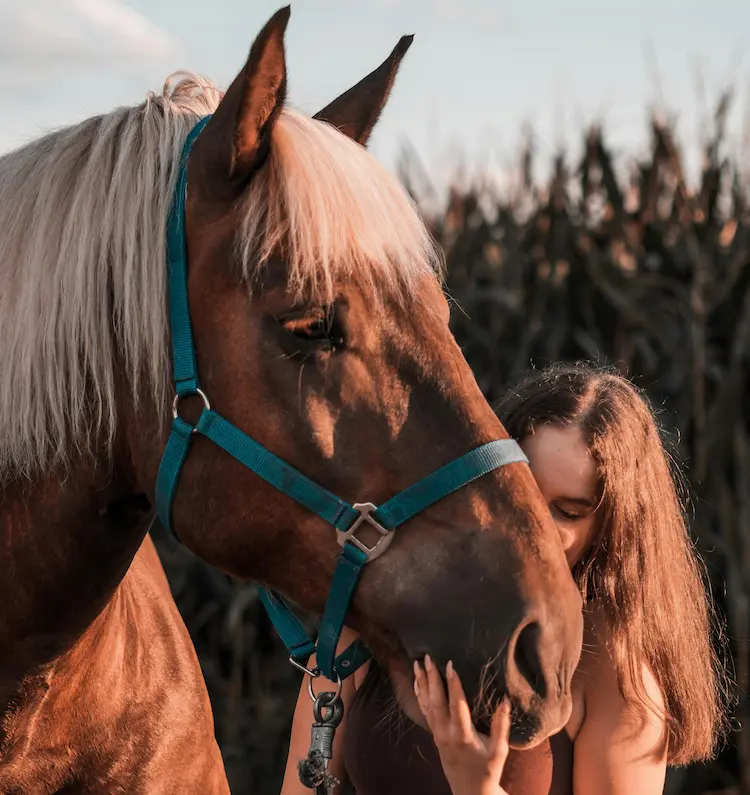 A girl, petting a brown horse.