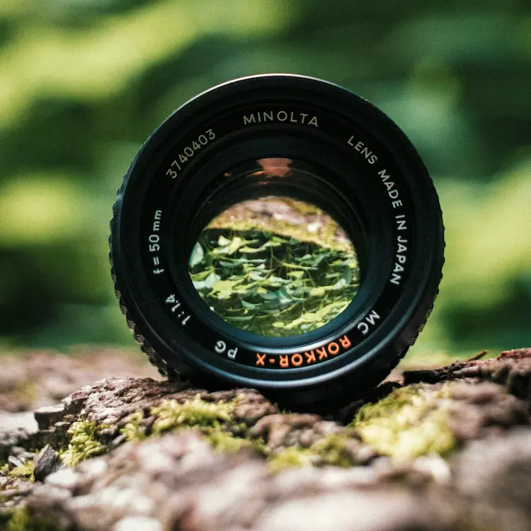 A camera lense in the nature.