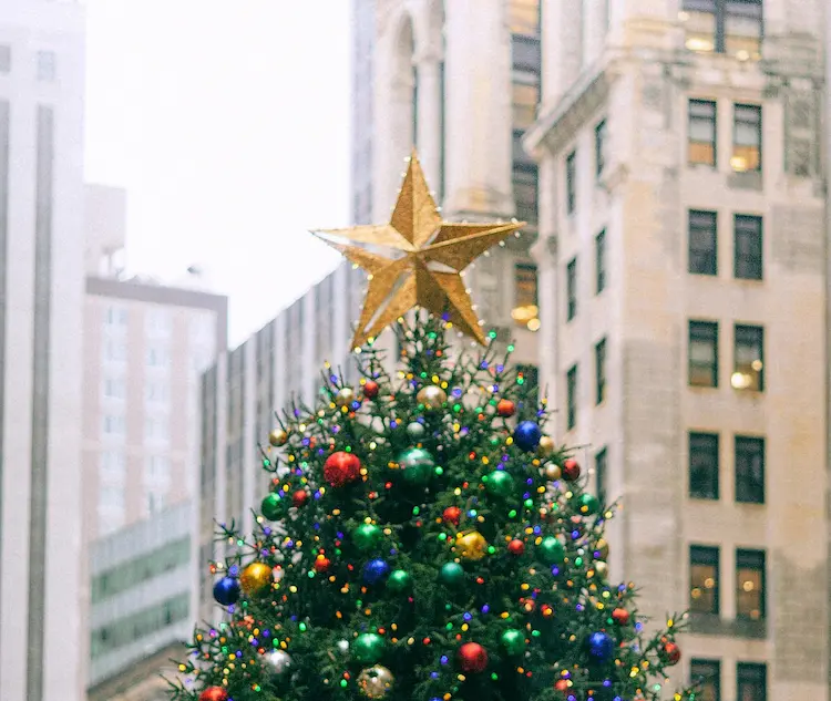 A christmas tree in a city square.