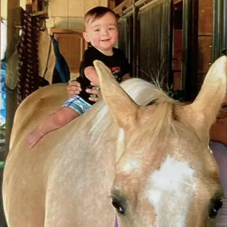 A little boy on the back of a cream-colored horse.